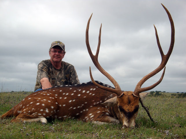 trophy-axis-buck-15-world-sci-record-book-shonto-ranch